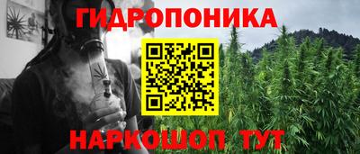 прущие крисы Краснознаменск