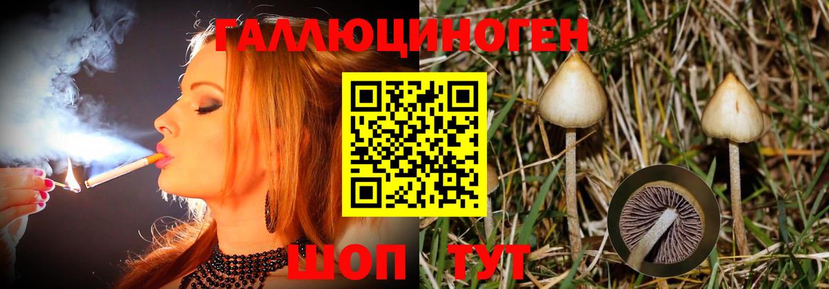 Псилоцибиновые грибы GOLDEN TEACHER  Вход с VPN  Алапаевск 